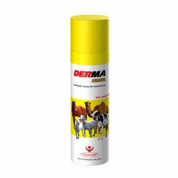 DERMA AEROSOL