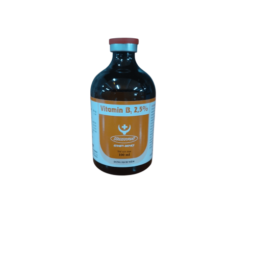 VITAMIN B1 2,5%